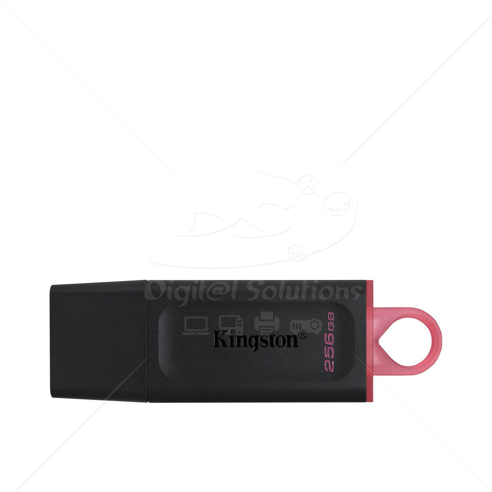 Memoria USB Kingston DTX