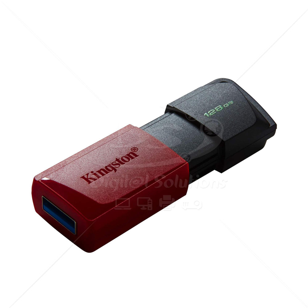 Memoria USB Kingston DTXM