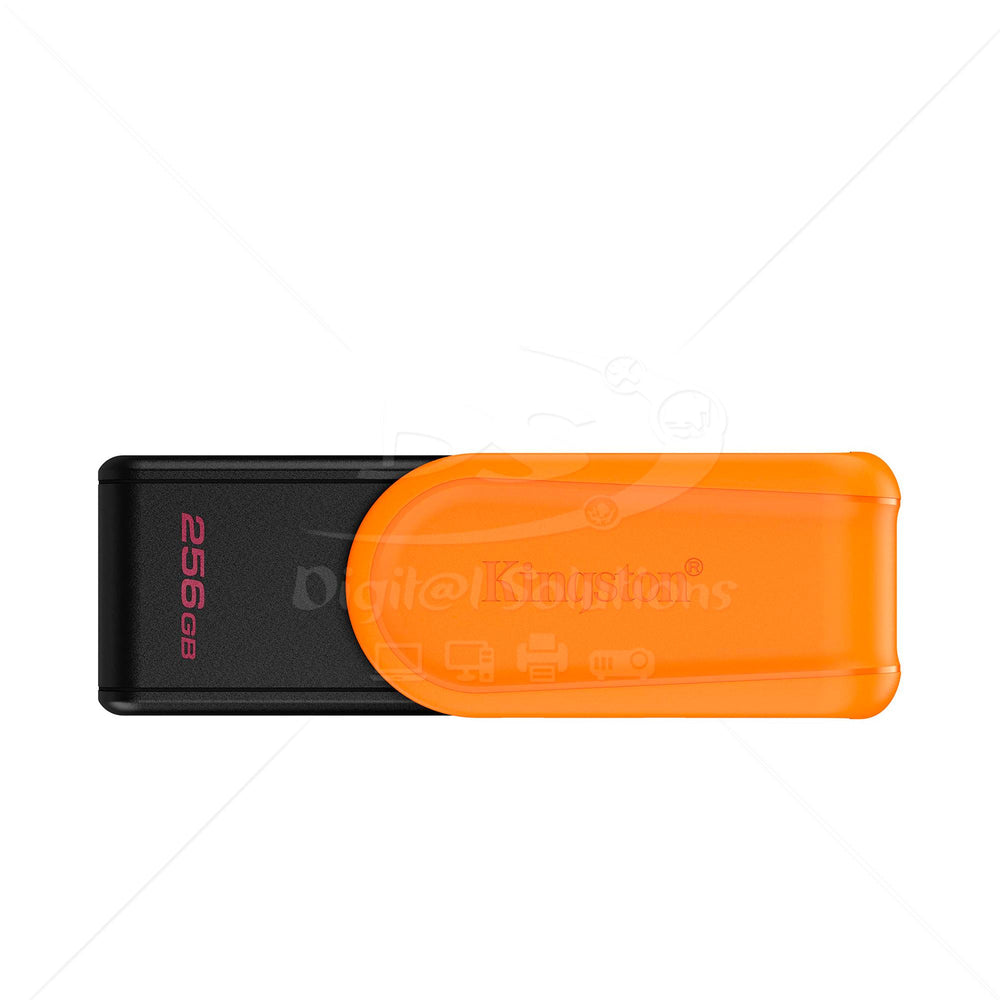 Memoria USB Kingston DTXS/256GB