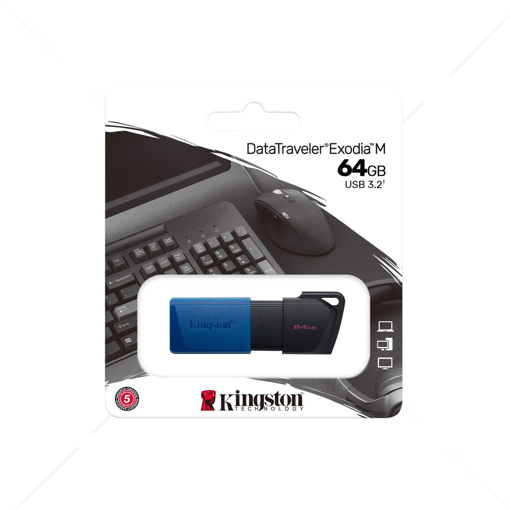 Memoria USB Kingston DTXM