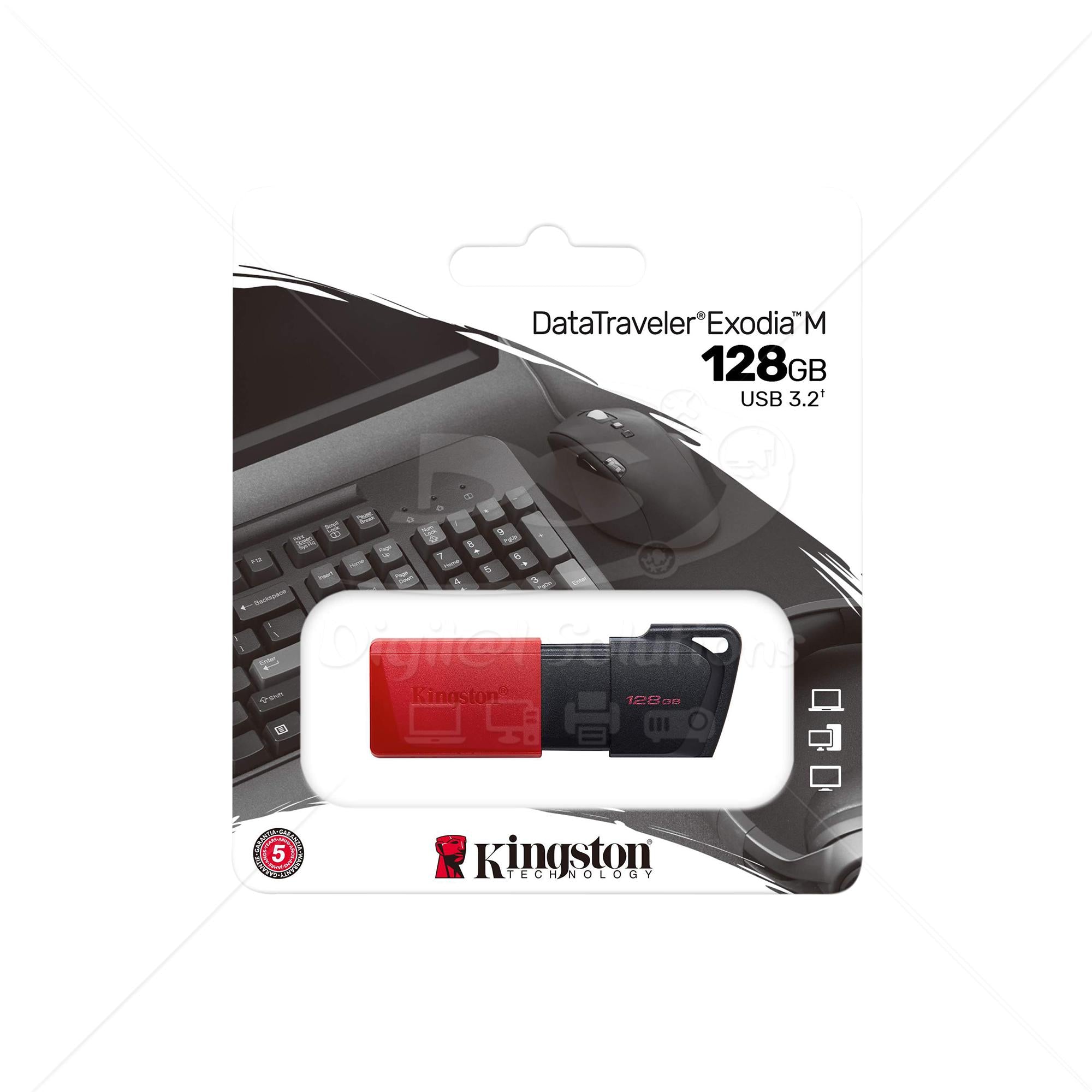 Memoria USB Kingston DTXM