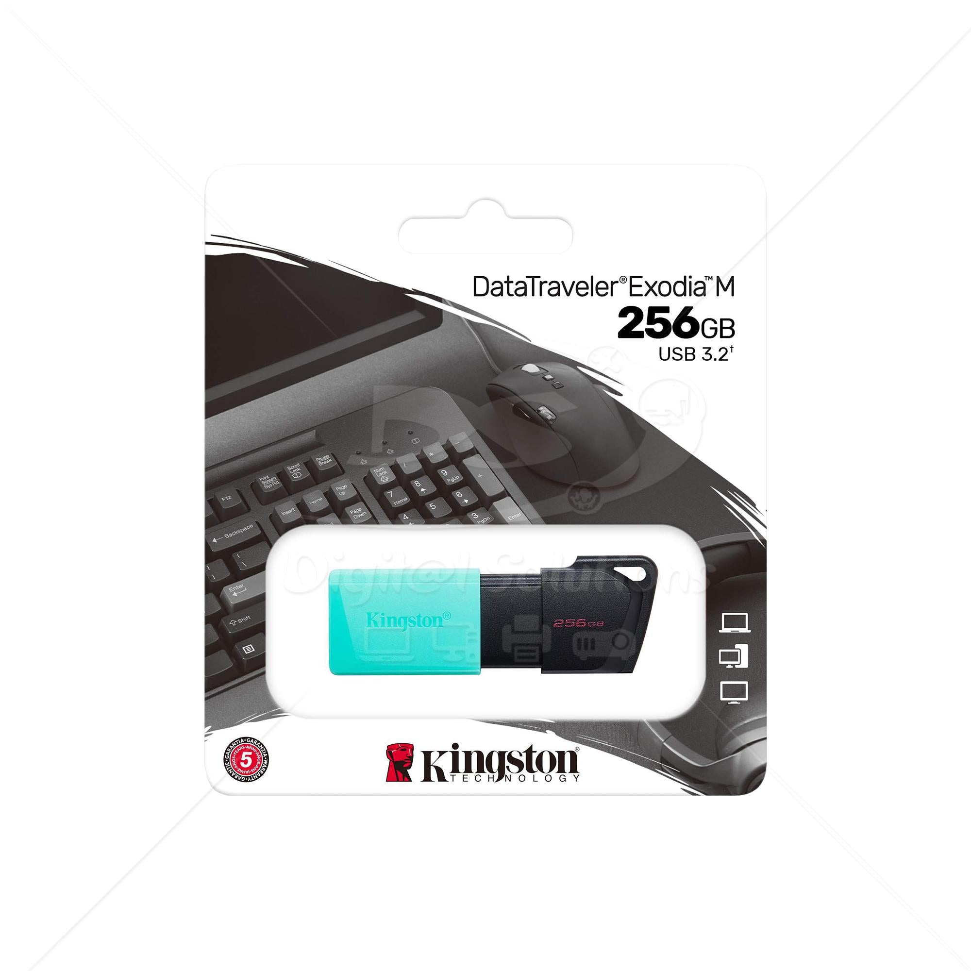 Memoria USB Kingston DTXM